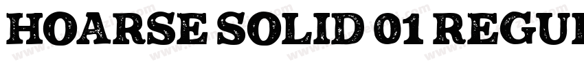 Hoarse Solid 01 Regular字体转换